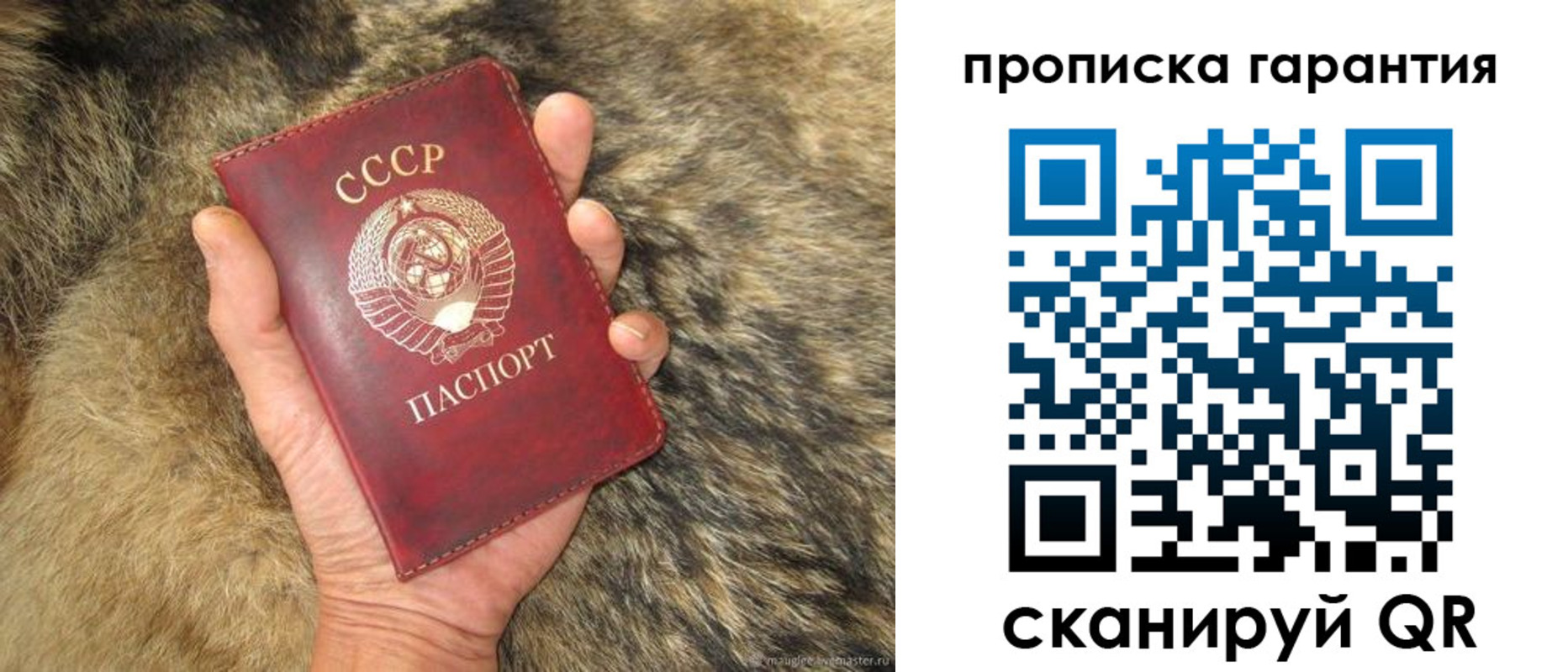 временная регистрация гарантия в Межгорье